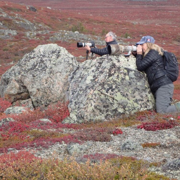 Two photographers leaning on boulders taking photographs in the barrens
