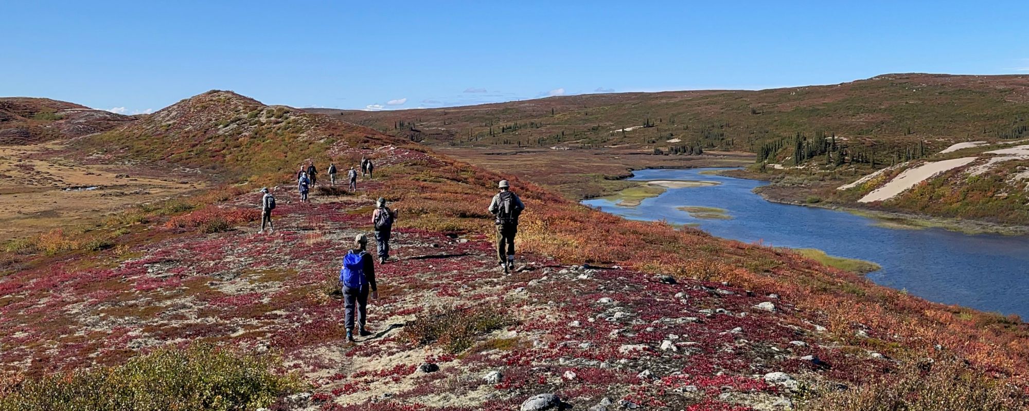 Peopling hiking in fall on an esker in Canada's Arctic Tundra