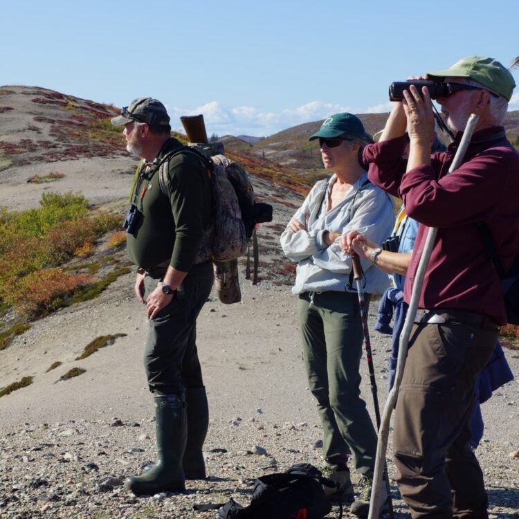 People standing on an esker looking through binoculars on a sunny fall day with autumn colours.