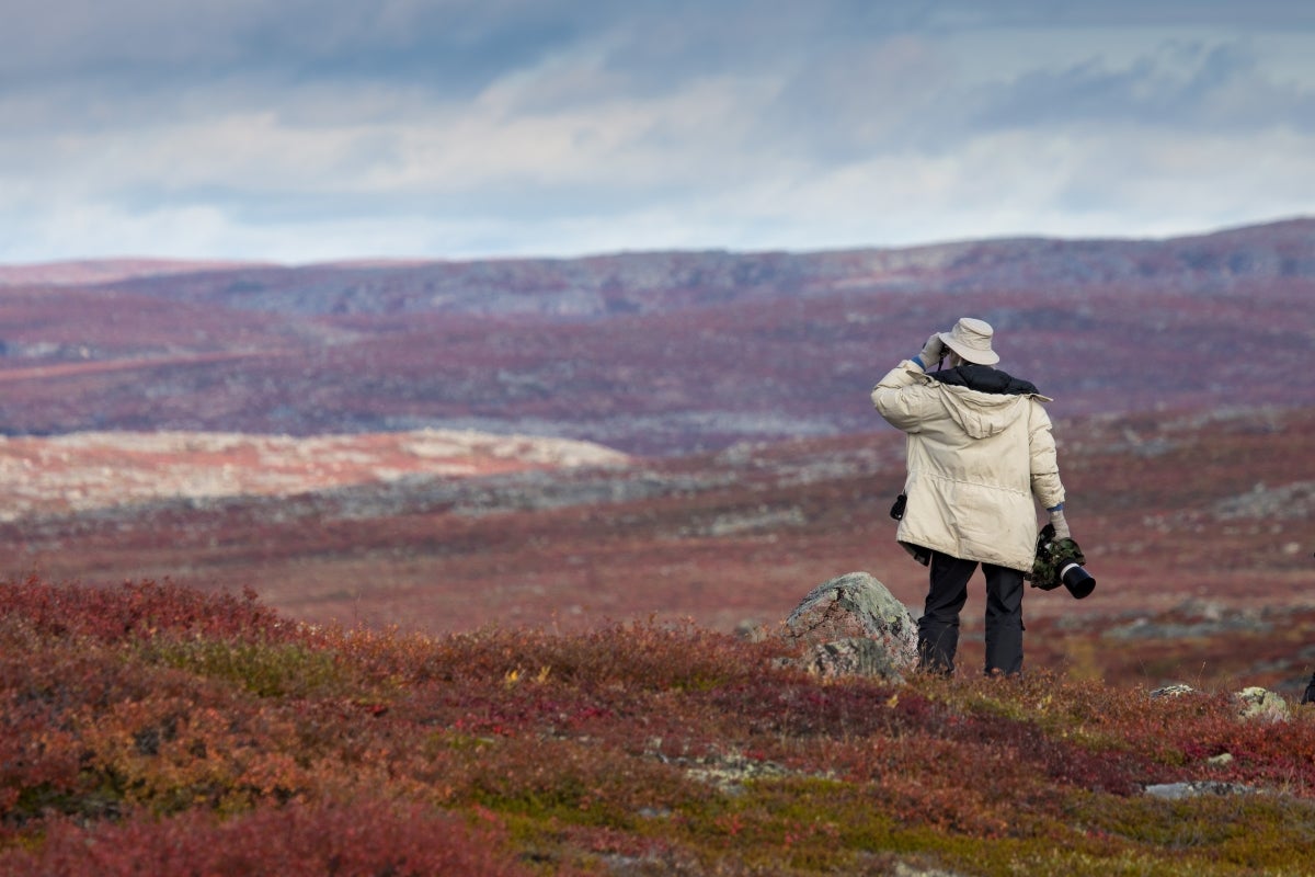 Peterson's Point Lake Lodge | Enjoy the Barrenlands autumn