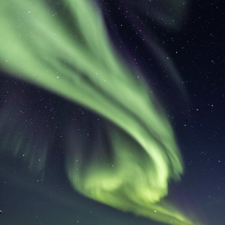 Northern Lights Swooping over NWT Aurora Lodge