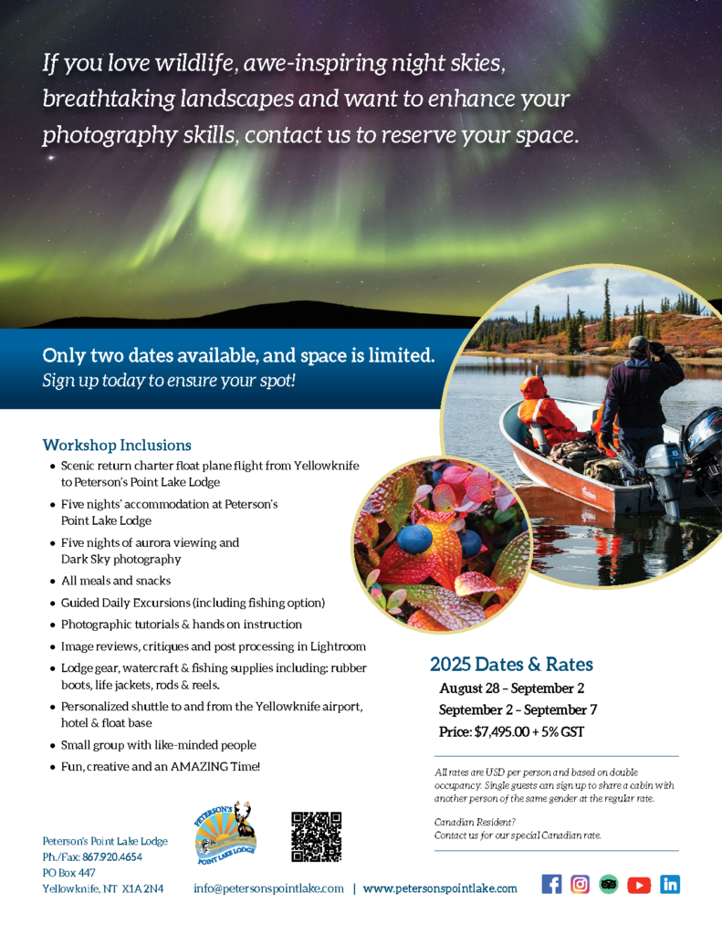 Beautiful northern lights, people in boat, ripe berries and 2025 NWT photography workshop details