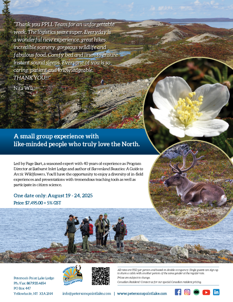 A sand esker, blooming flower, caribou bedded down and hikers with spotting scopes on a hike