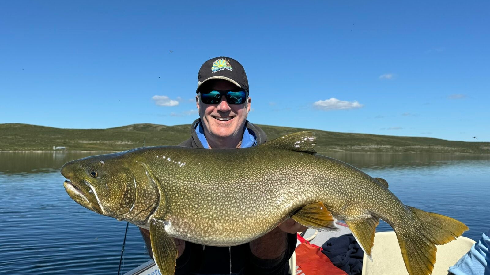 Man holding on to a monster lake trout on a sunny day