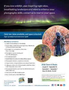 Stunning colorful Northern Lights (Aurora Borealis) reflecting over Point Lake during an autumn photography workshop at Peterson's Point Lake Lodge in the Northwest Territories Barrens
