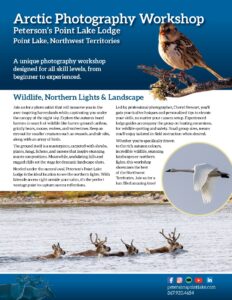 Promotional flyer for a nature photography tour at Peterson's Point Lake Lodge, highlighting Arctic landscapes, wildlife, and autumn colors in the NWT Barrenlands.