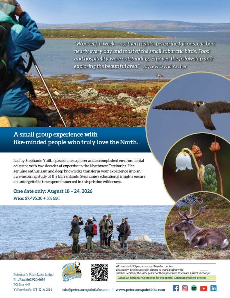 Detailed information for our guided nature tour, featuring caribou and peregrine falcon sightings, participants with binoculars and spotting scopes on the Northwest Territories tundra