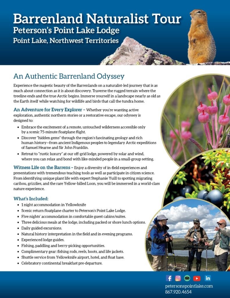 Overview of the Authentic Barrenland Odyssey at Peterson's Point Lake Lodge, featuring images of sub-Arctic plants, a sik-sik ground squirrel, plants and guests enjoying a guided naturalist hike on the tundra.