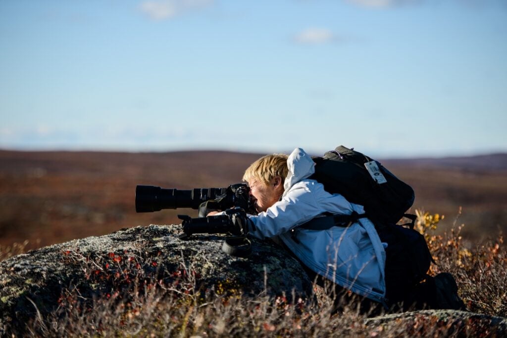 Photographer using a rock as a natural stabilizer to capture wildlife photos in the NWT during autumn